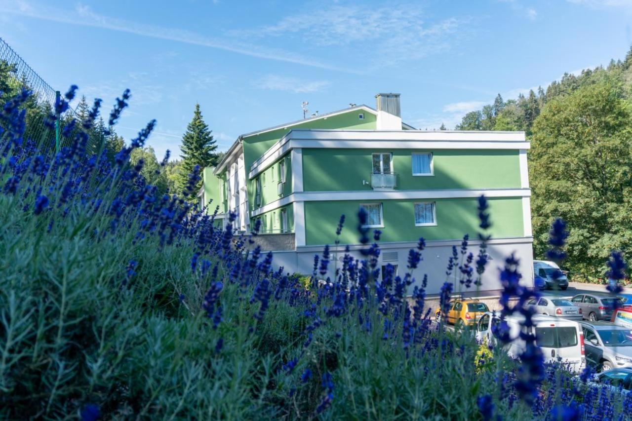 Wellness Hotel Green Paradise Pirkenhammer エクステリア 写真
